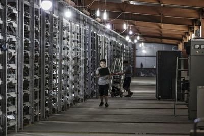 Modern mining farm with multiple rigs