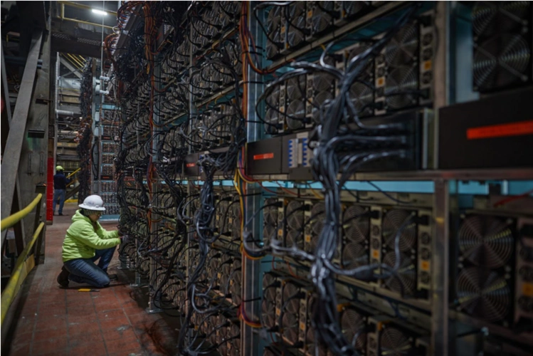 Expansive cryptocurrency mining farm with rows of hosted mining machines