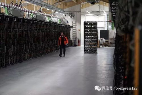 A large-scale bitcoin mining farm with rows of mining rigs