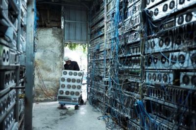 An overview of a bustling mining farm hosting various cryptocurrency miners, including those for Litecoin, emphasizing the operational scale and efficiency